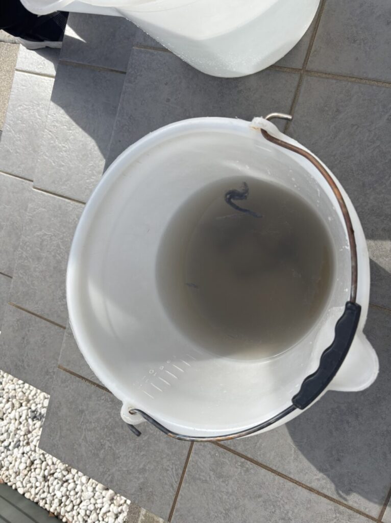 実際の作業の様子（黒い水）